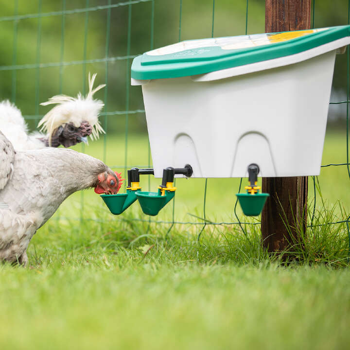 AviAqua Geflügeltränke